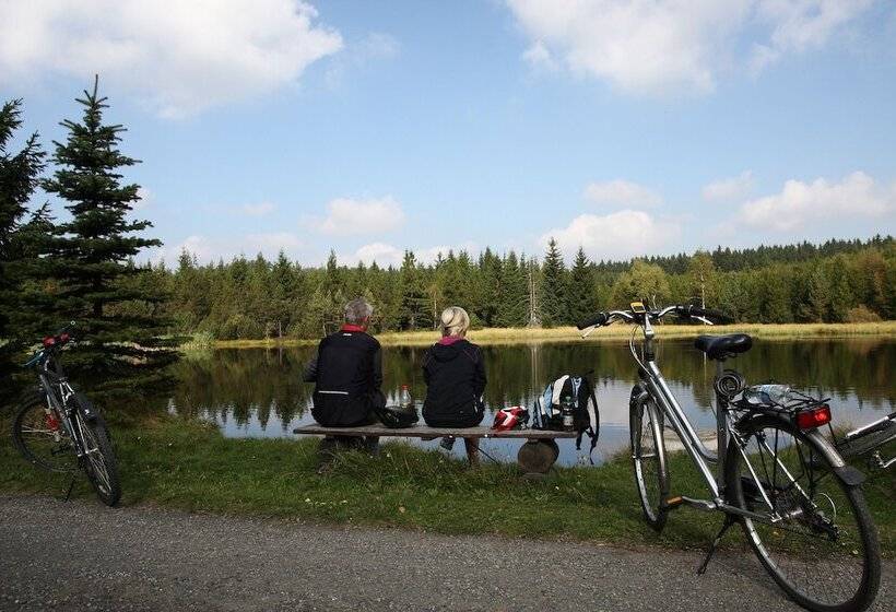 ホテル Saigerhutte