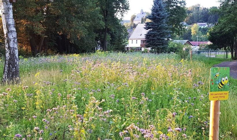 ホテル Saigerhutte