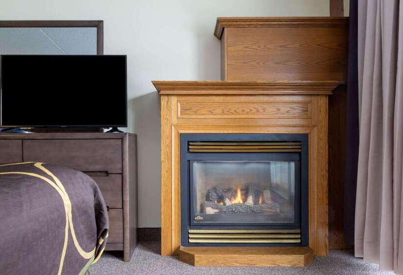 酒店 Super 8 By Wyndham Niagara Falls By The Falls