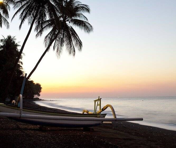 בית מלון כפרי The Damai