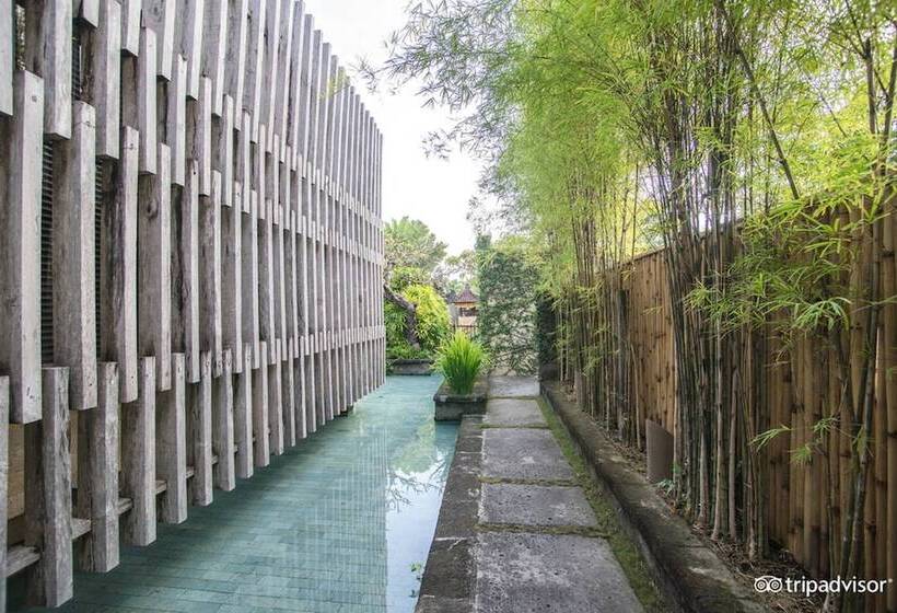 Отель The Elysian Boutique Villa