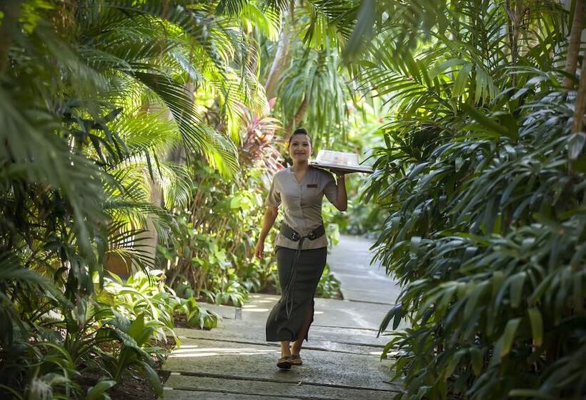 Отель The Elysian Boutique Villa