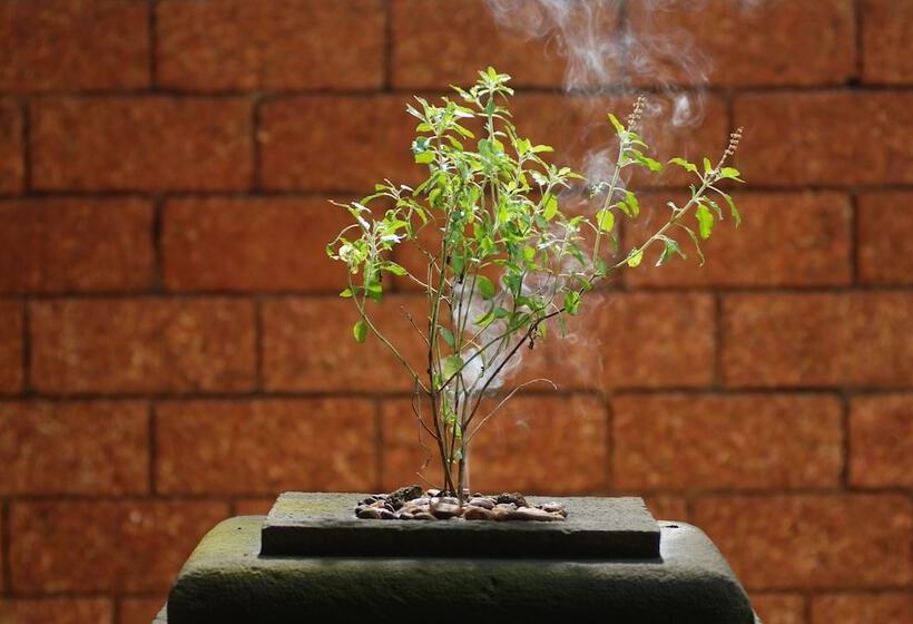 Отель The Raviz Kadavu