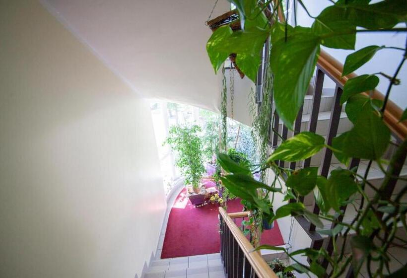 호텔 Und Appartementhaus Rheden