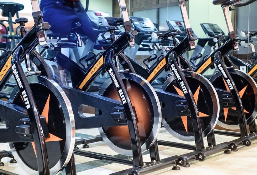 Отель Usta Park