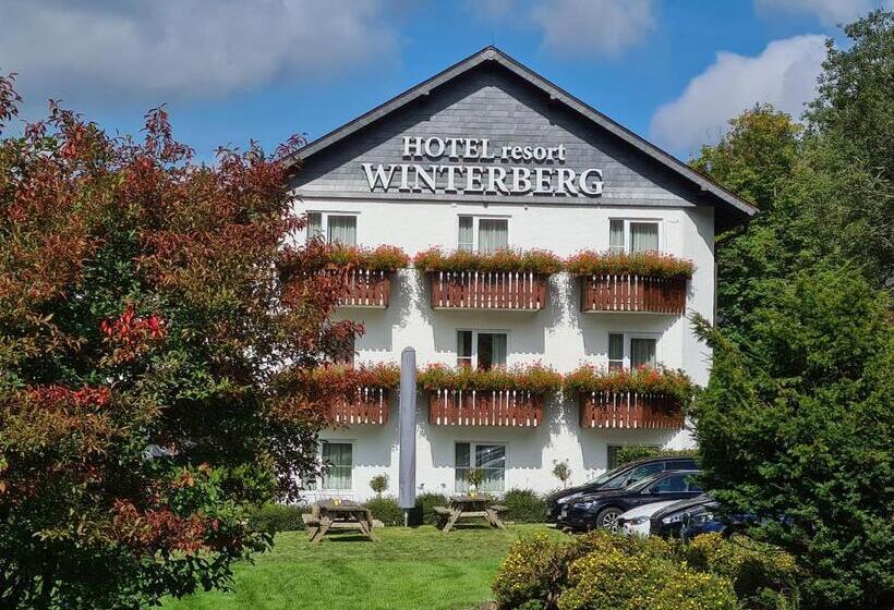 فندق Winterberg Resort