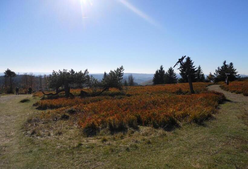 فندق Winterberg Resort