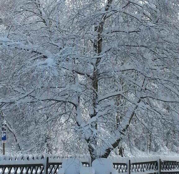 فندق Winterberg Resort