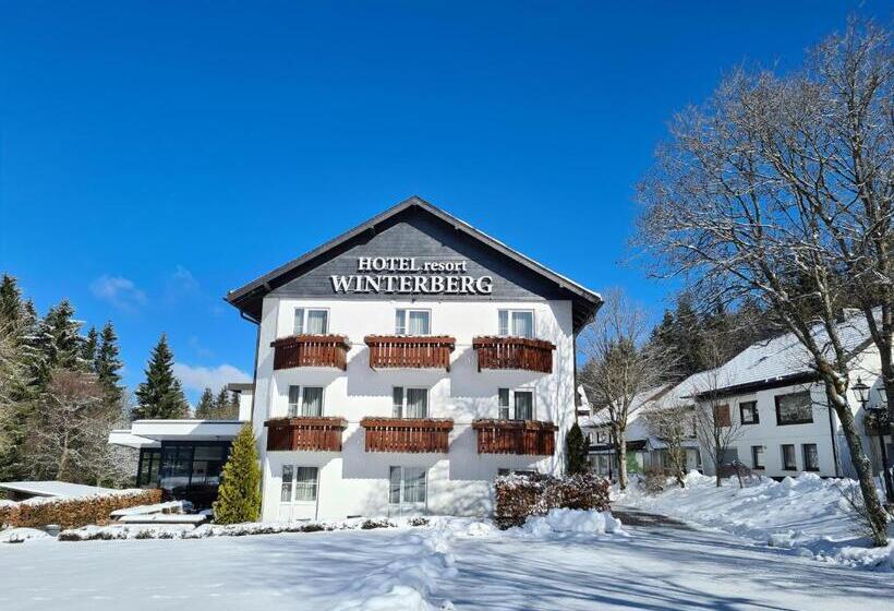 فندق Winterberg Resort