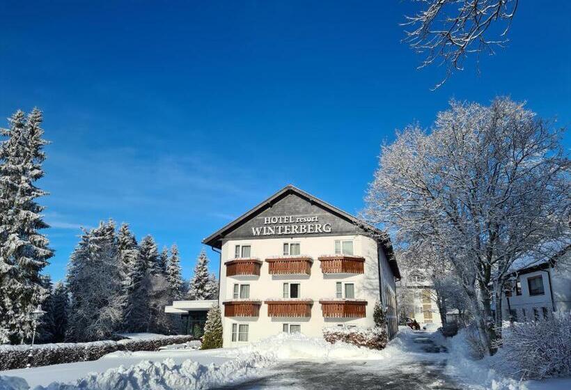 فندق Winterberg Resort