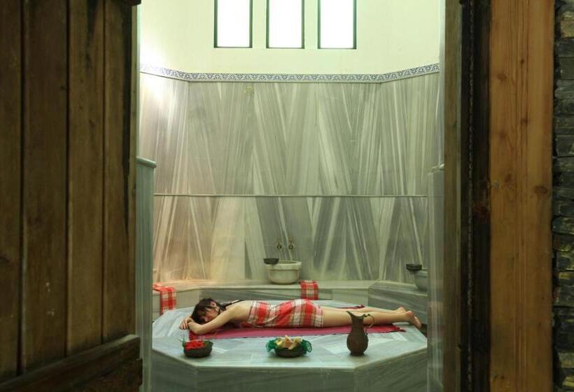 Отель Zeytinada