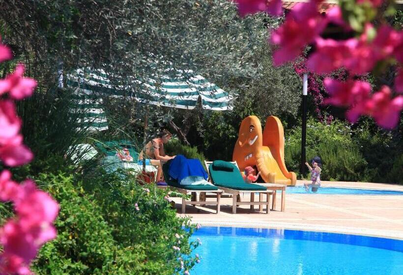 Отель Zeytinada