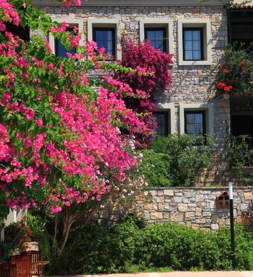 Отель Zeytinada