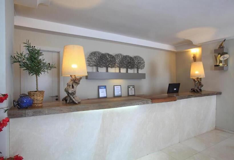 Отель Zeytinada