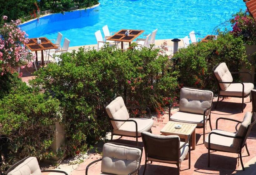 Отель Zeytinada