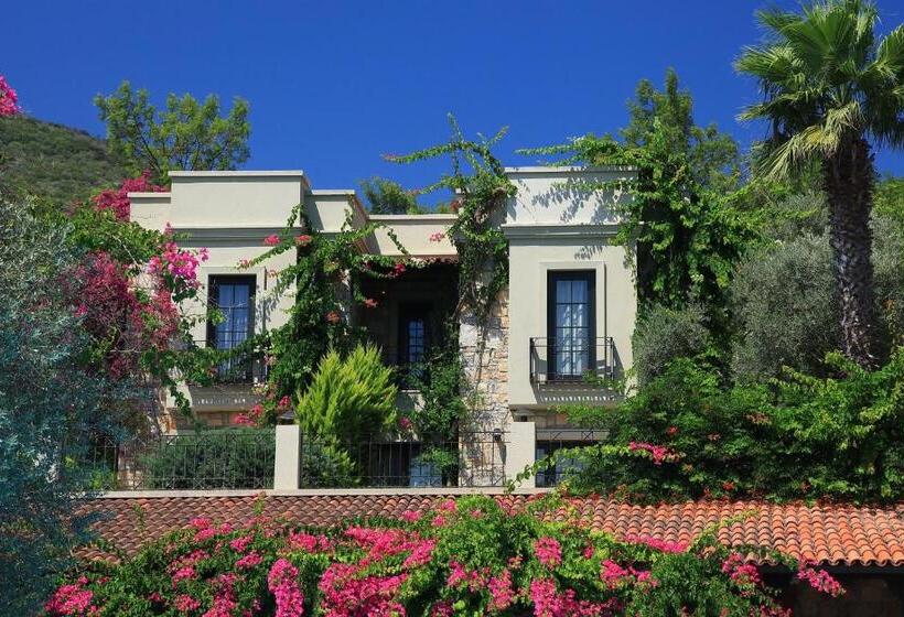 Отель Zeytinada