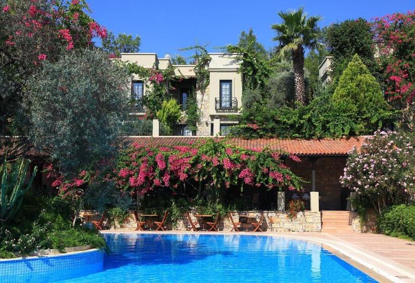 Отель Zeytinada