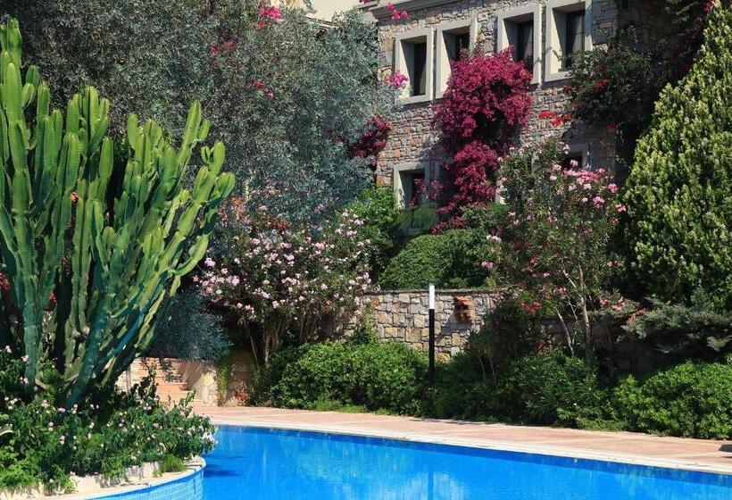 Отель Zeytinada