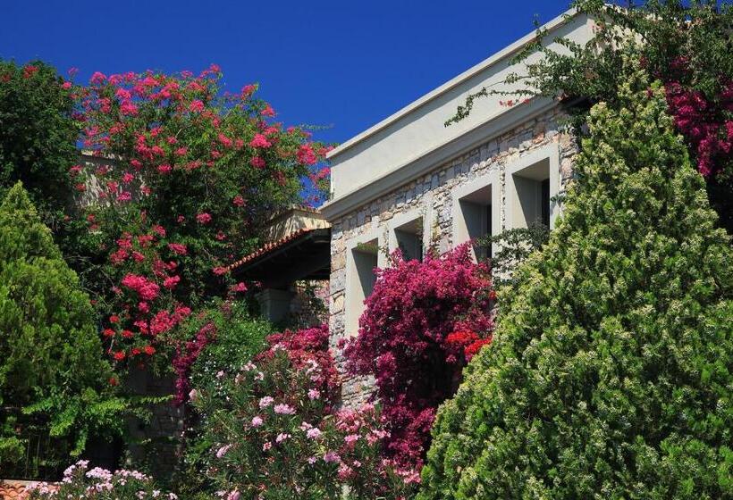 Отель Zeytinada