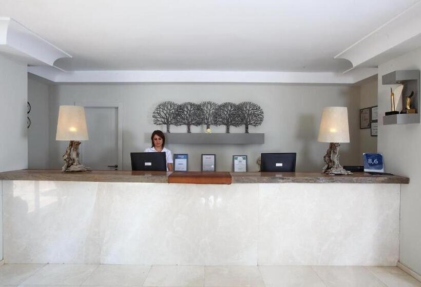 Отель Zeytinada