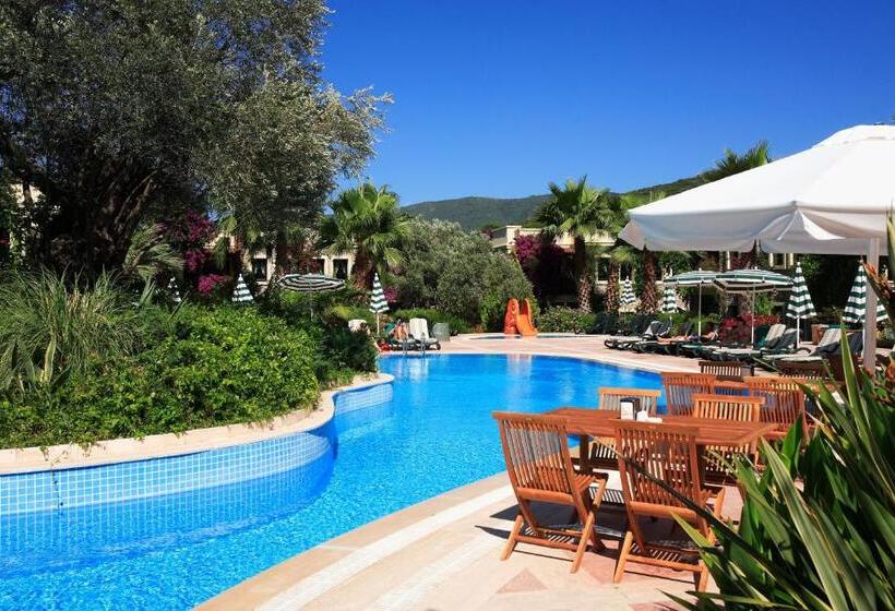 Отель Zeytinada