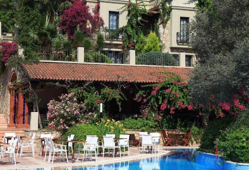 Отель Zeytinada