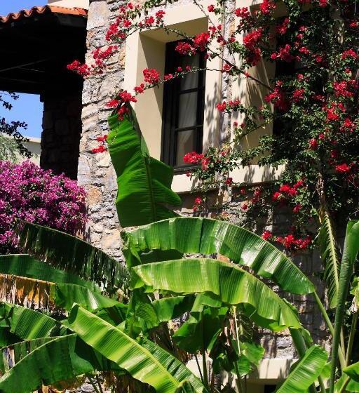 Отель Zeytinada