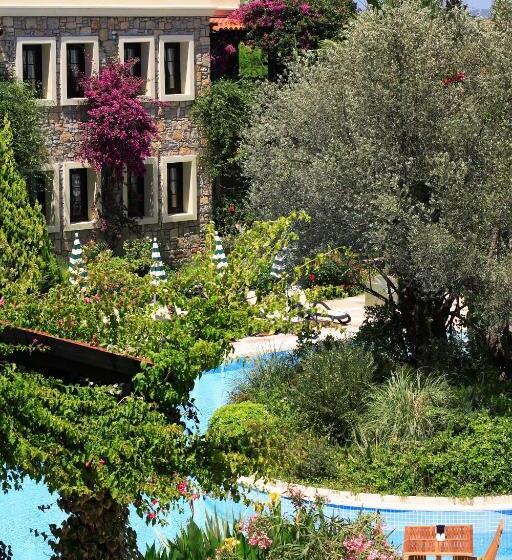 Отель Zeytinada