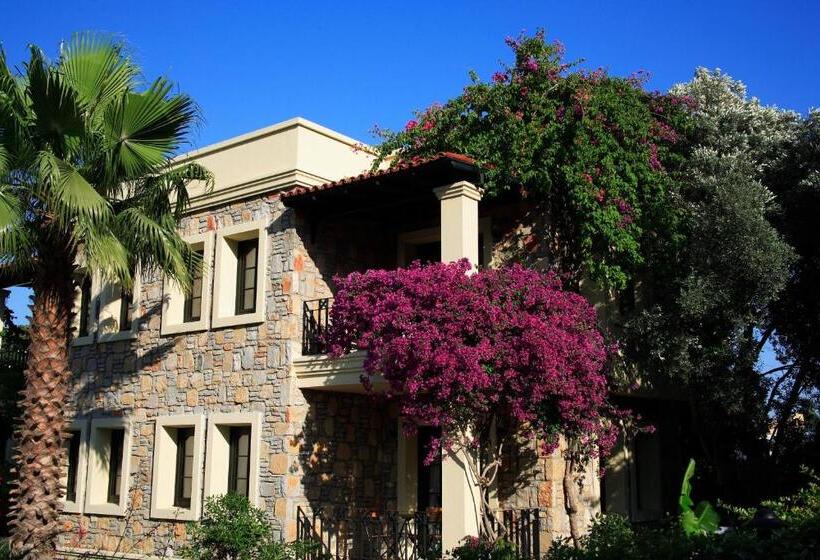 Отель Zeytinada