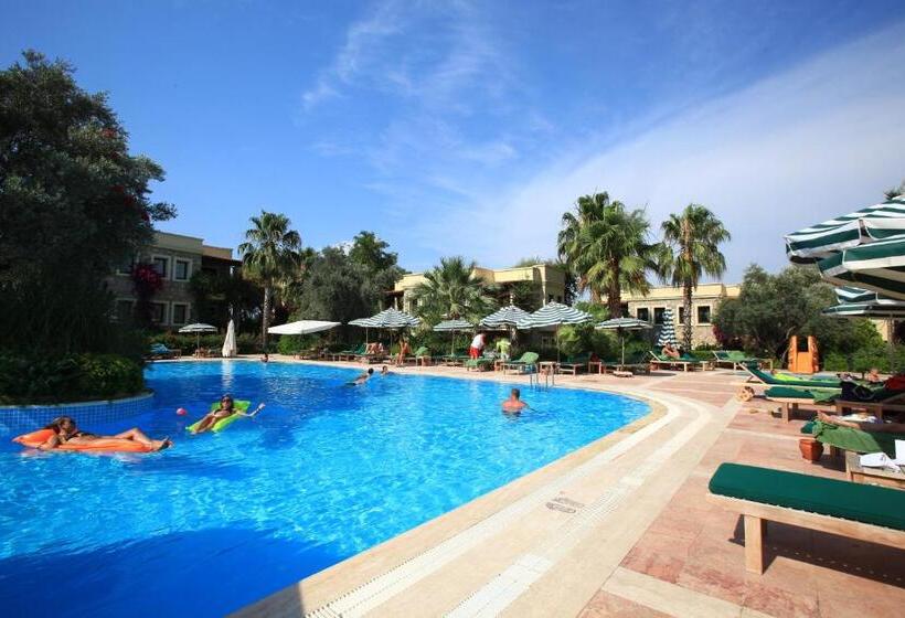 Отель Zeytinada