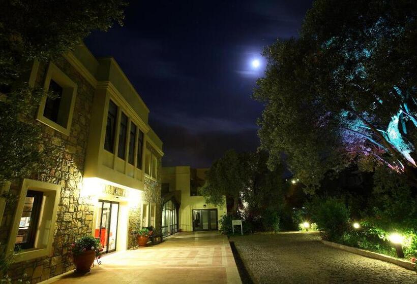 Отель Zeytinada