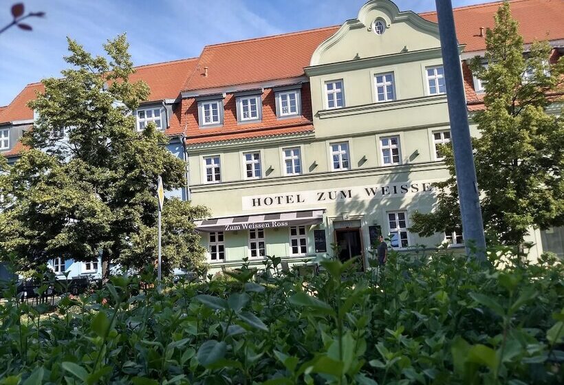 فندق Zum Weissen Ross