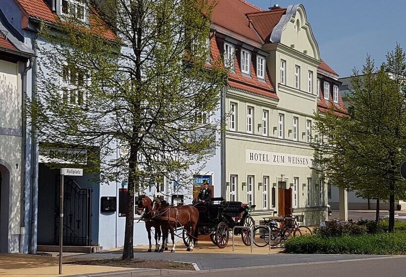 فندق Zum Weissen Ross