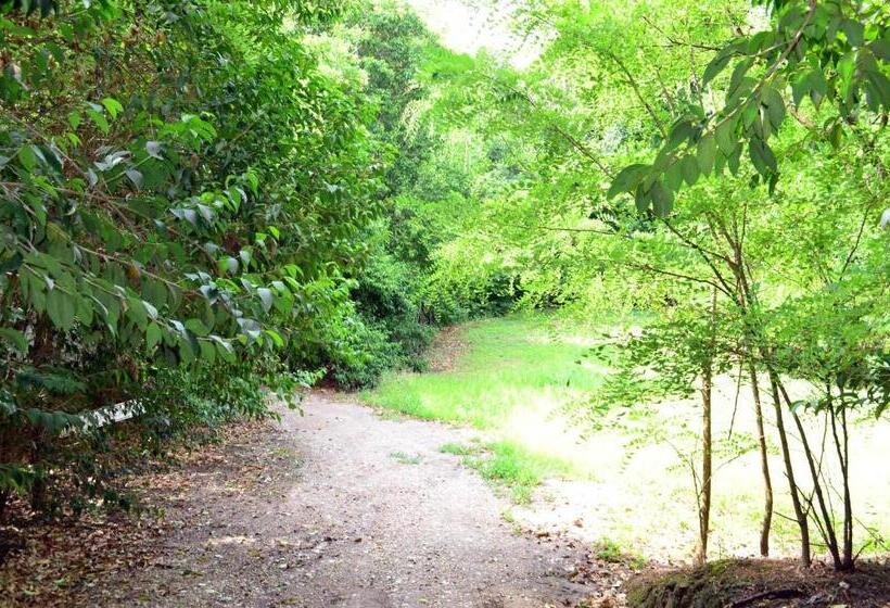 San Miguel Plaza Hotel All Inclusive