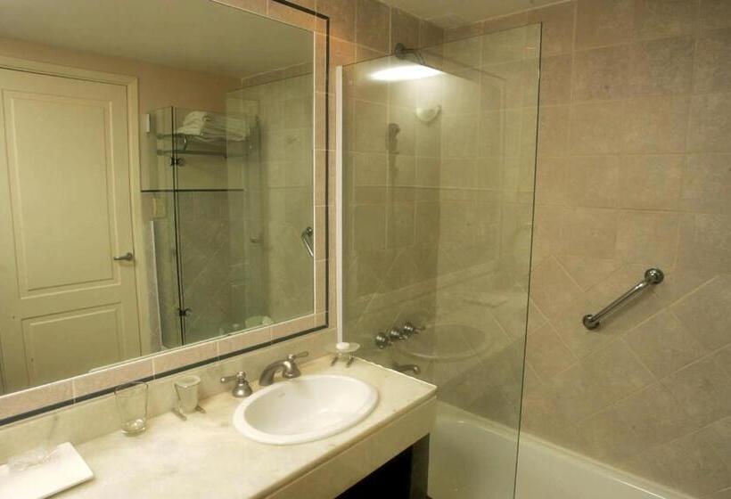 San Miguel Plaza Hotel All Inclusive