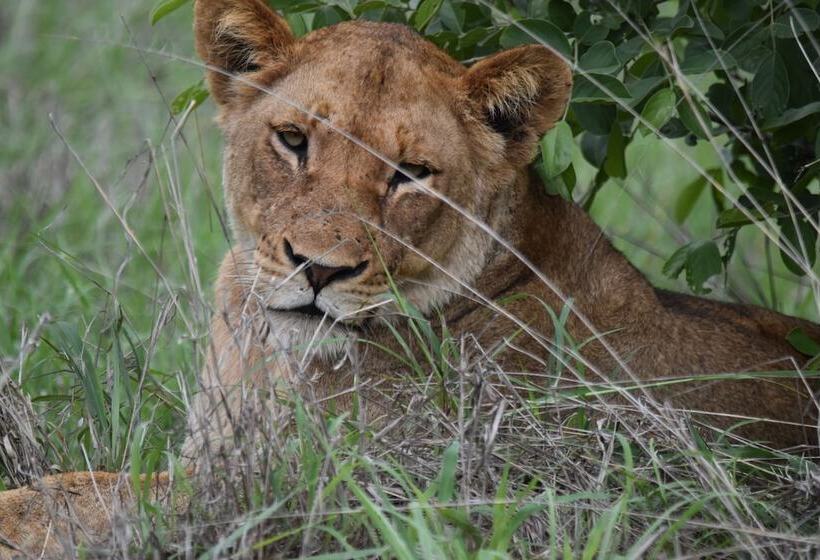 Shishangeni, By Bon Hotels