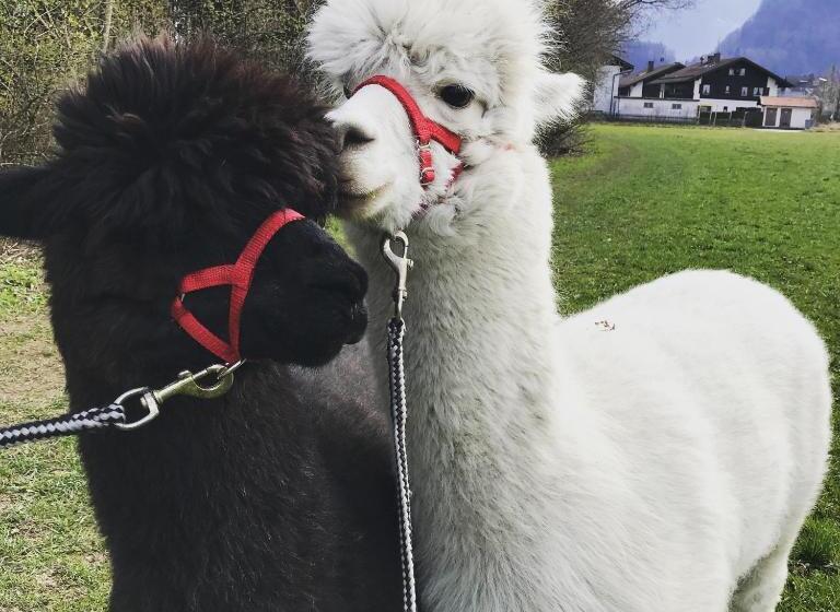 Sporthotel Wilder Kaiser