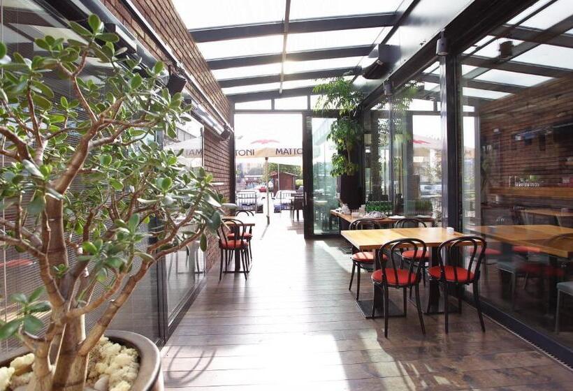 酒店 Absolutum Wellness