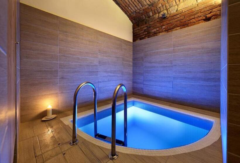 酒店 Absolutum Wellness