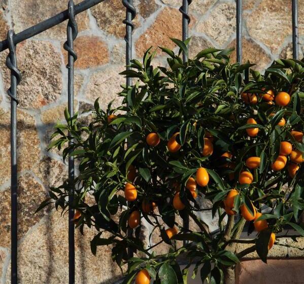 בית מלון כפרי Arathena