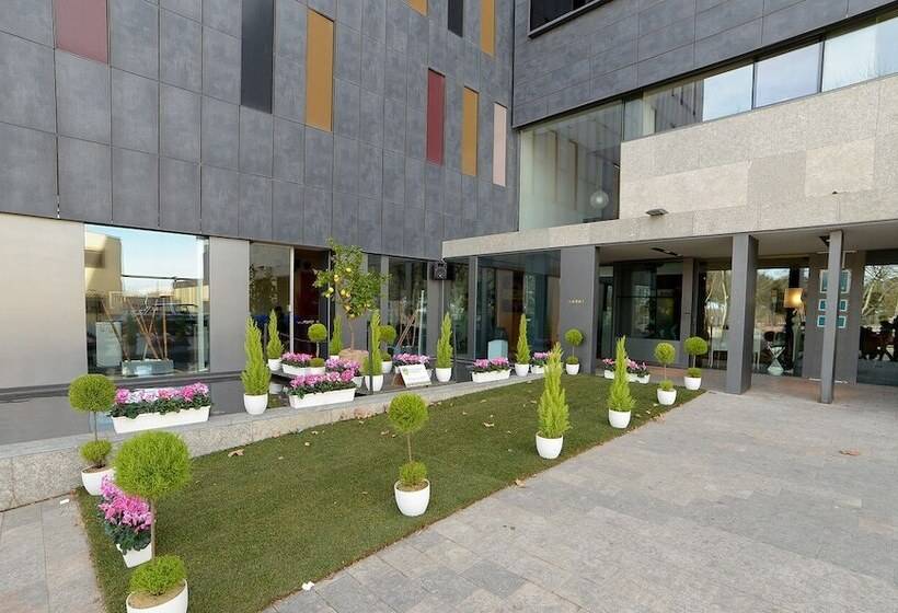 Blu Hotel Almansa