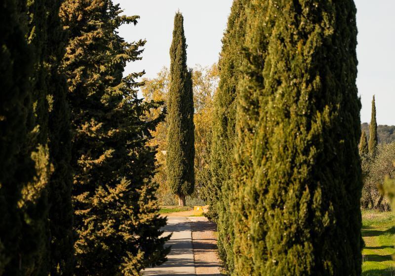 Il Pelagone Hotel & Golf Resort Toscana