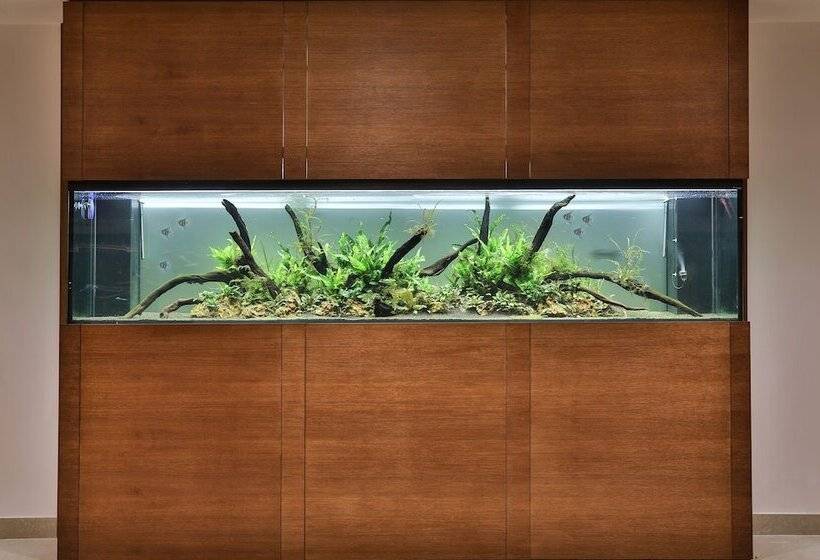 בית מלון כפרי Hermitage