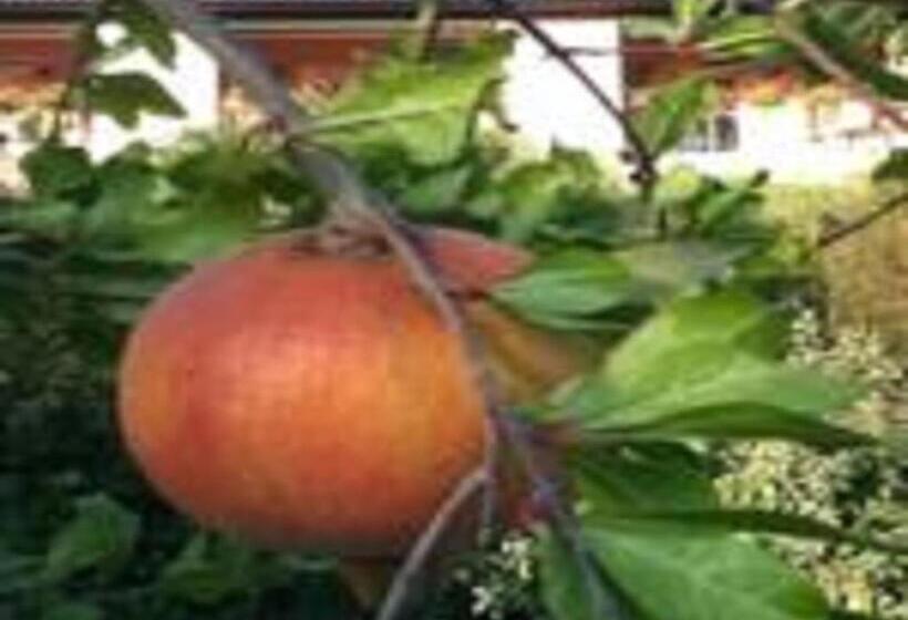 فندق Il Melograno Country House