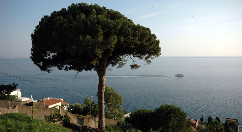 בית מלון כפרי Il Pino