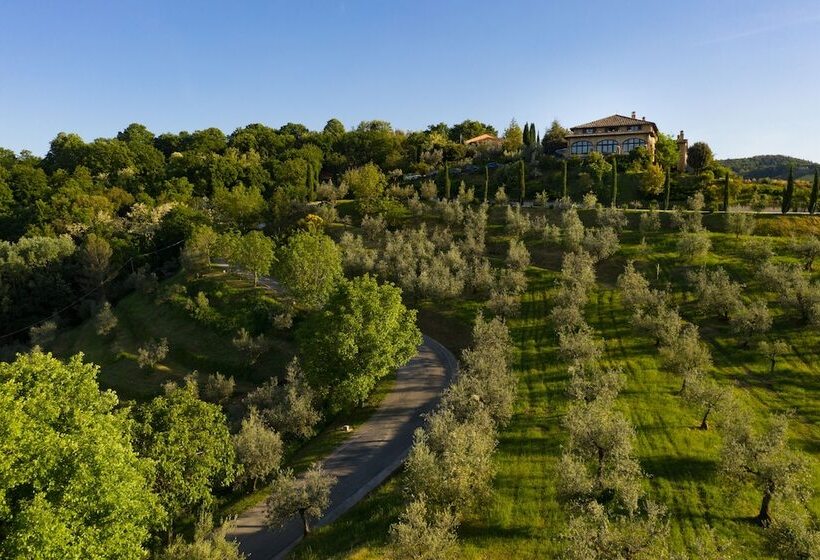 Отель Il Poggio Degli Olivi