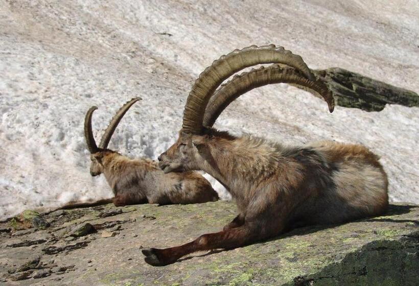 فندق La Rocca Sport & Benessere