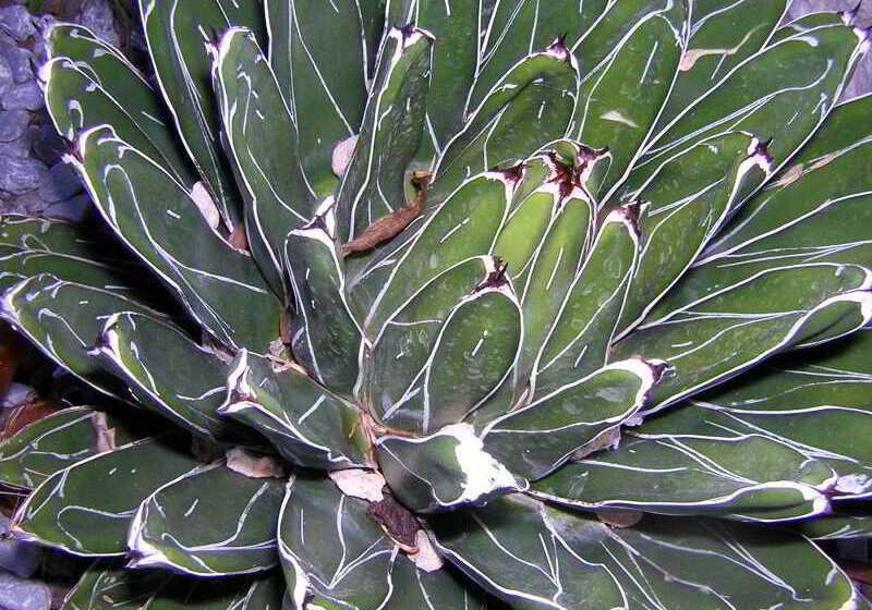 Marina 10 Design Hotel & Spa