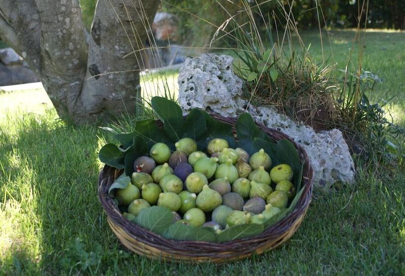 호텔 Masseria Chiancone Torricella