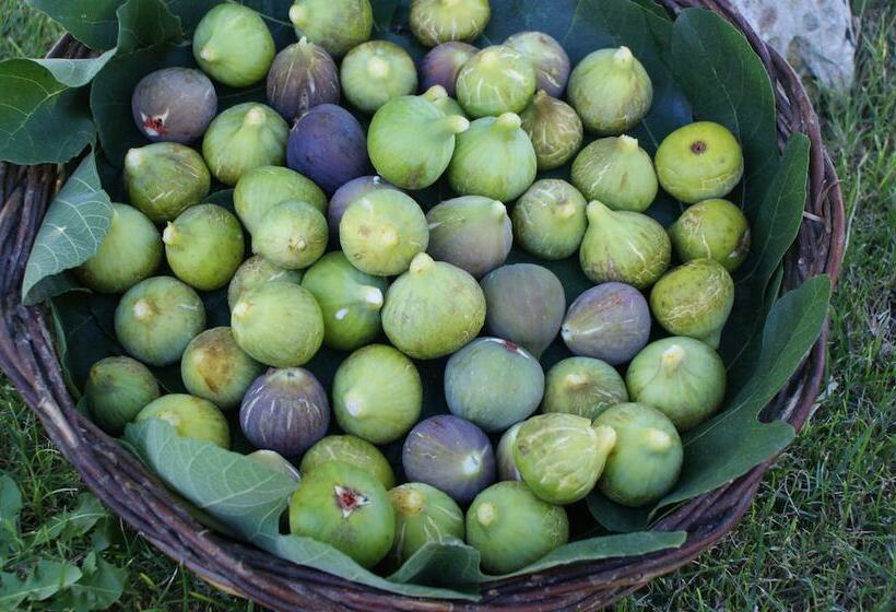 호텔 Masseria Chiancone Torricella